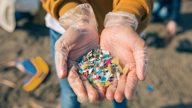 Microplastics in Our Local Environment: Why the Fibers We Choose Matter