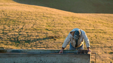 American wool farmer tending to sustainable ranch lands at sunset, supporting local USA wool industry and family-owned agricultural practices