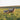 Ethically-raised sheep grazing on sustainable American ranch, source of premium natural wool for eco-friendly bedding and home goods from domestic wool producers