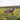 Ethically-raised sheep grazing on sustainable American ranch, source of premium natural wool for eco-friendly bedding and home goods from domestic wool producers