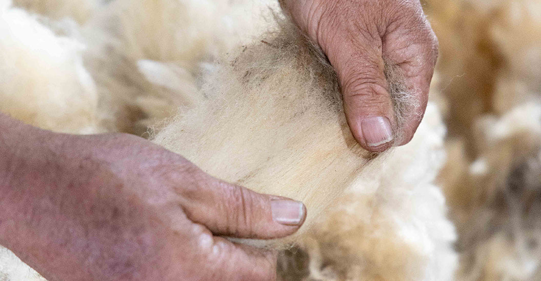 The Science Behind Wool's Natural Odor-Fighting Powers.