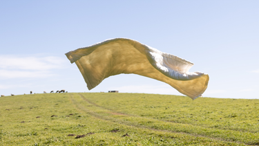 Natural wool textile flowing freely over a green field