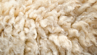Are You Allergic to Wool? Understanding Wool Sensitivity and Choosing the Right Products