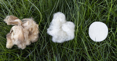 Wool in its different forms — Raw wool, bleached wool and pressed wool pads