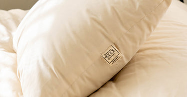 Luxurious organic cotton-encased wool pillow with Sonoma Wool Company label - premium natural sleep solution that provides perfect support, temperature regulation, and allergy resistance for healthier, more restful sleep year-round