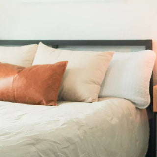 bedroom scene with a neat bed, pillows, a nightstand, lamp, and a potted plant.