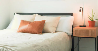 bedroom scene with a neat bed, pillows, a nightstand, lamp, and a potted plant.