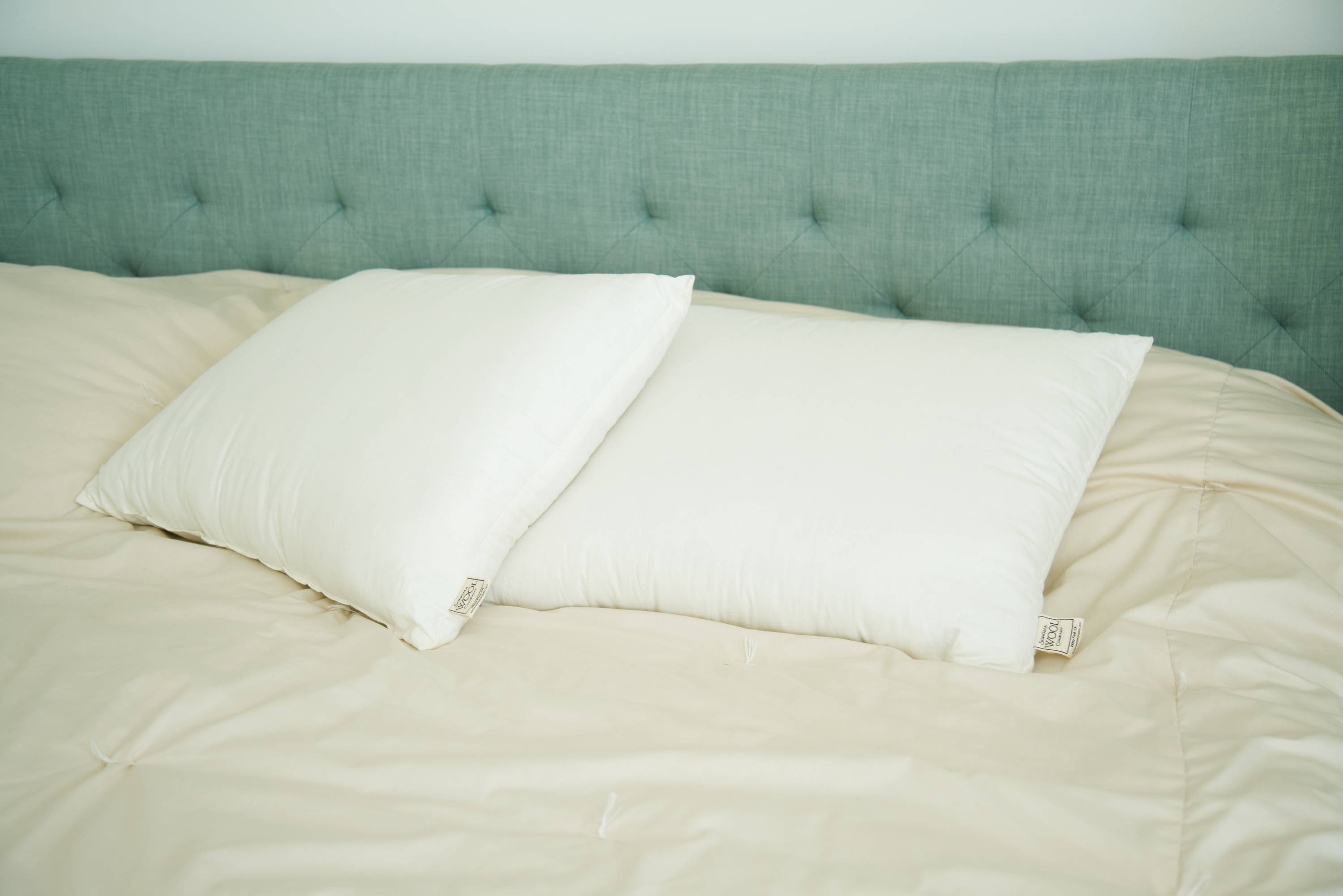 White wool pillows with natural cotton covers on teal tufted headboard, showcasing premium American-made sustainable bedding