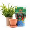 A bag of Wool Pellets next to a potted plant on a white backdrop