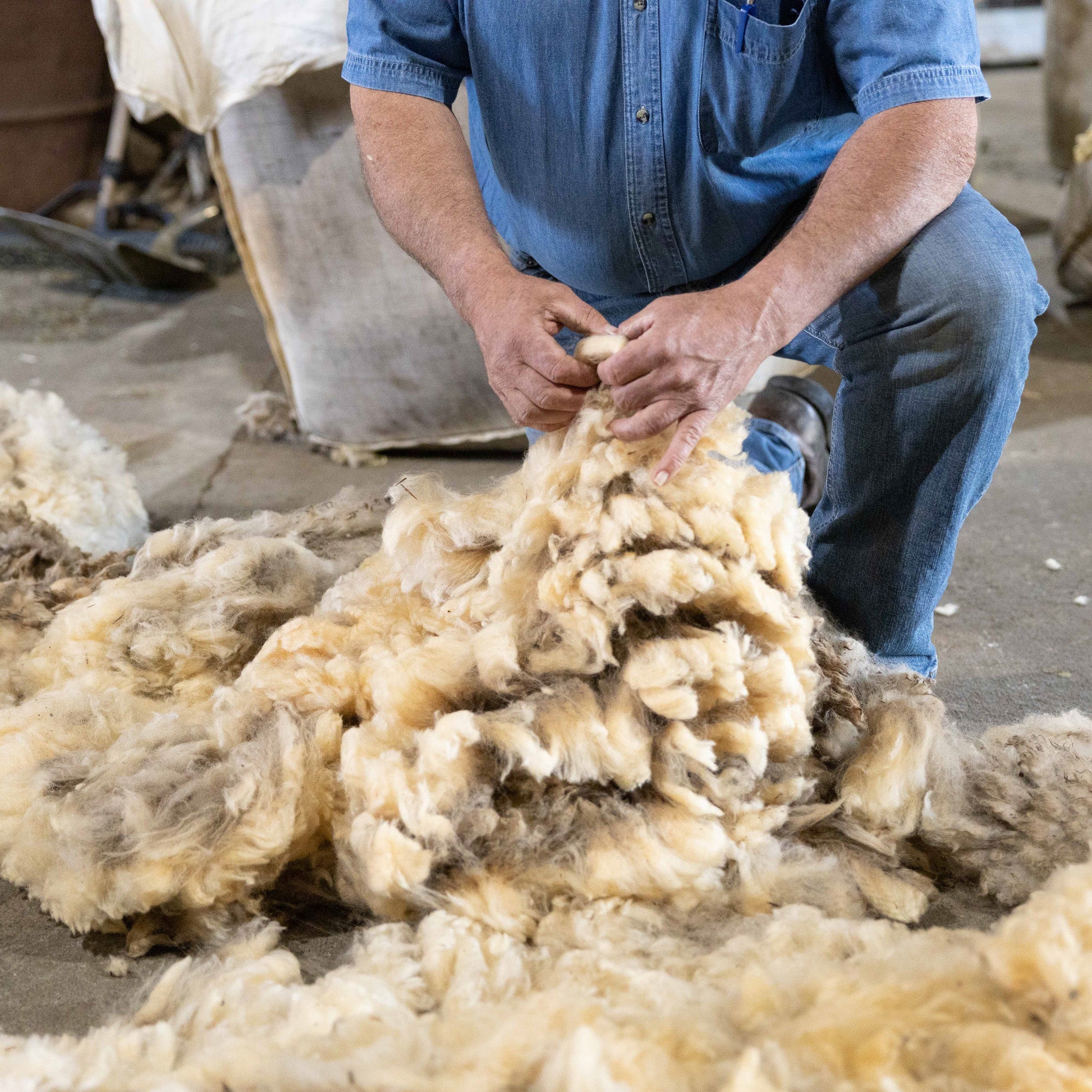 Joe Pozzi inspecting raw wool.