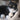 Close-up of wool cat toy next to playful tabby